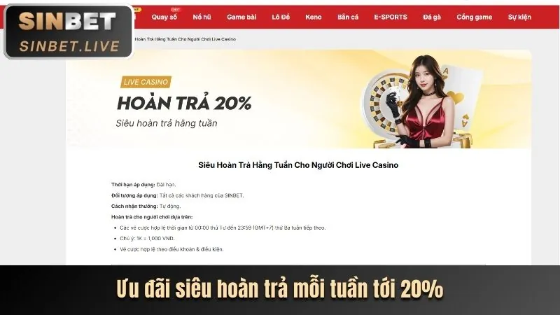 Hoàn trả hàng ngày viva88 win